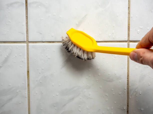 Best Mold Removal Near Me  in Muscoy, CA