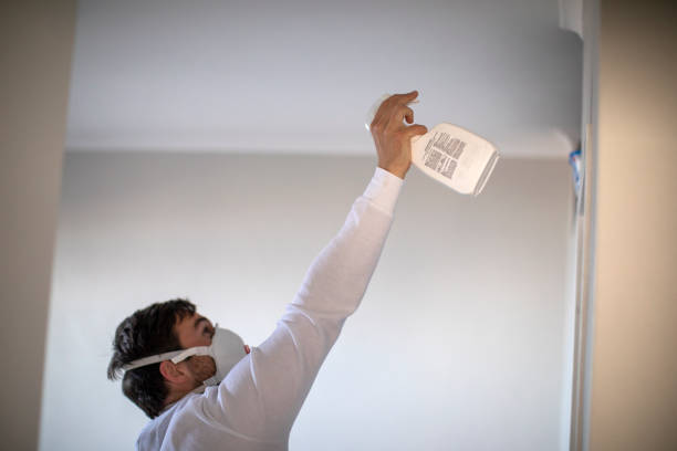 Best Mold Removal Company Near Me  in Muscoy, CA