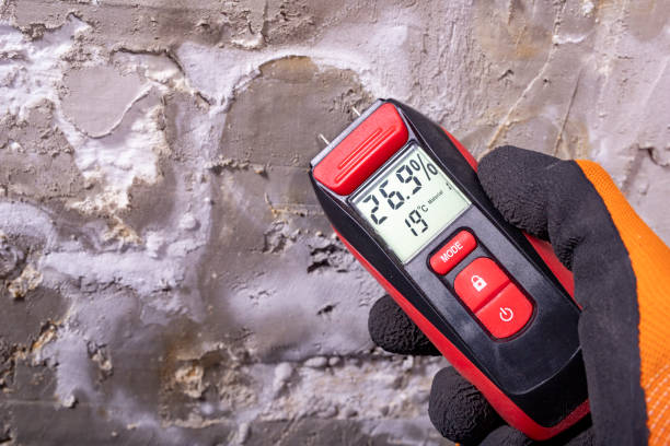Best Office Mold Removal Services  in Muscoy, CA