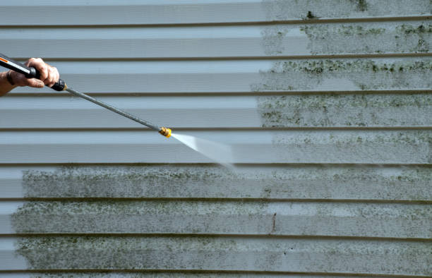 Best Commercial Mold Removal  in Muscoy, CA