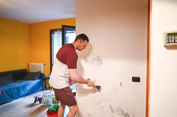 Best Best Mold Removal Companies  in Muscoy, CA