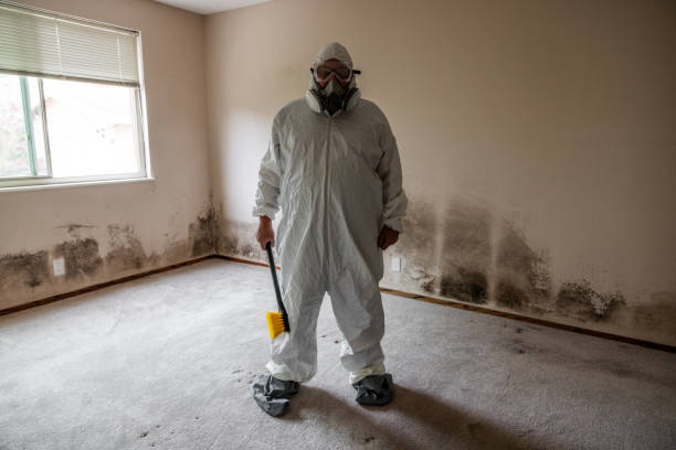 Best Attic Mold Removal  in Muscoy, CA