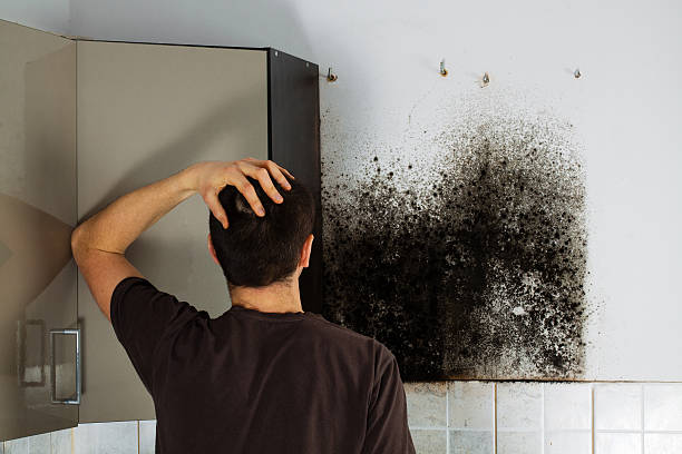 Best Attic Mold Removal  in Muscoy, CA